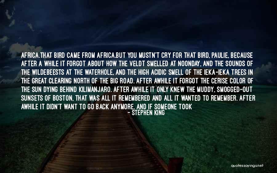 North Africa Quotes By Stephen King North Africa Quotes By Stephen King
