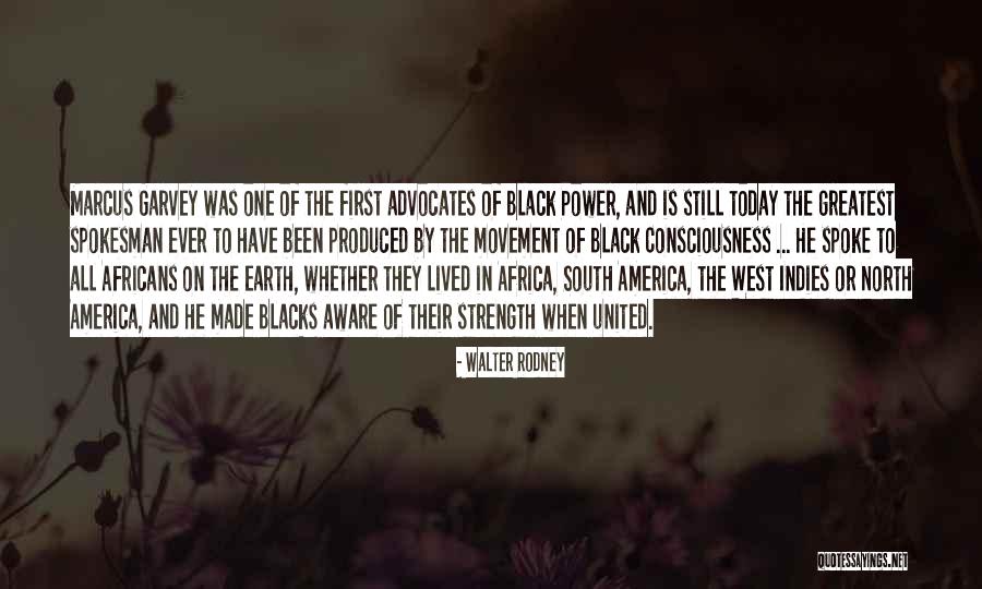 North Africa Quotes By Walter Rodney