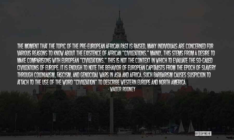 North Africa Quotes By Walter Rodney