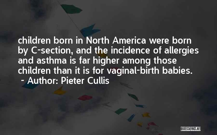 North America Quotes By Pieter Cullis