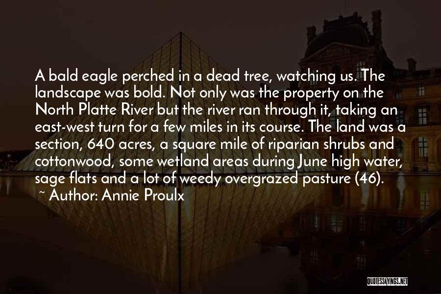 North East Quotes By Annie Proulx