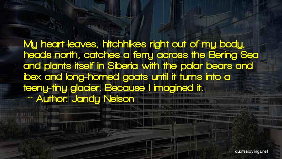 North Sea Quotes By Jandy Nelson