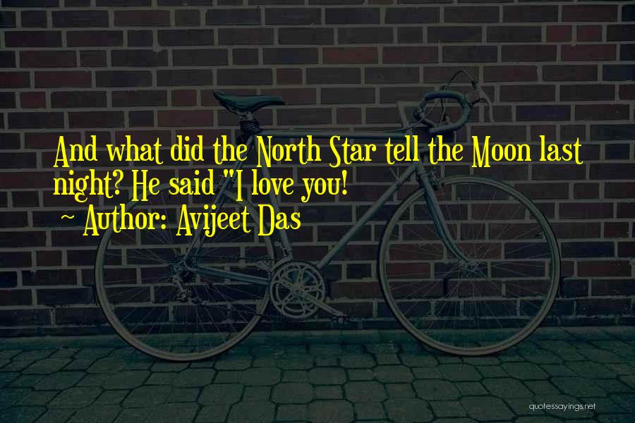 North Star Quotes By Avijeet Das