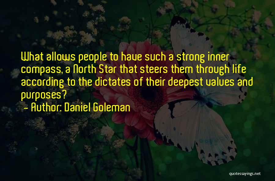 North Star Quotes By Daniel Goleman