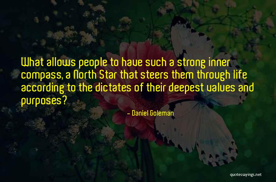 North Star Quotes By Daniel Goleman