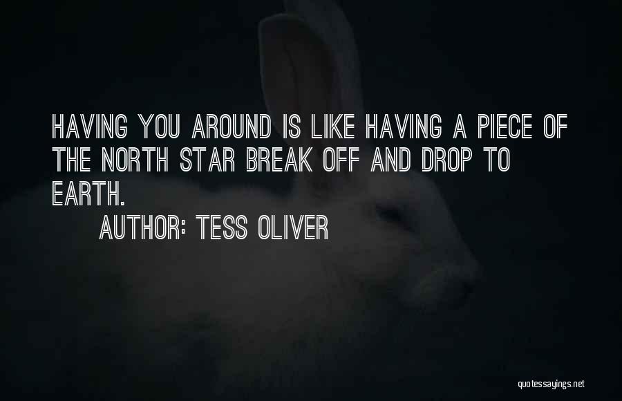 North Star Quotes By Tess Oliver