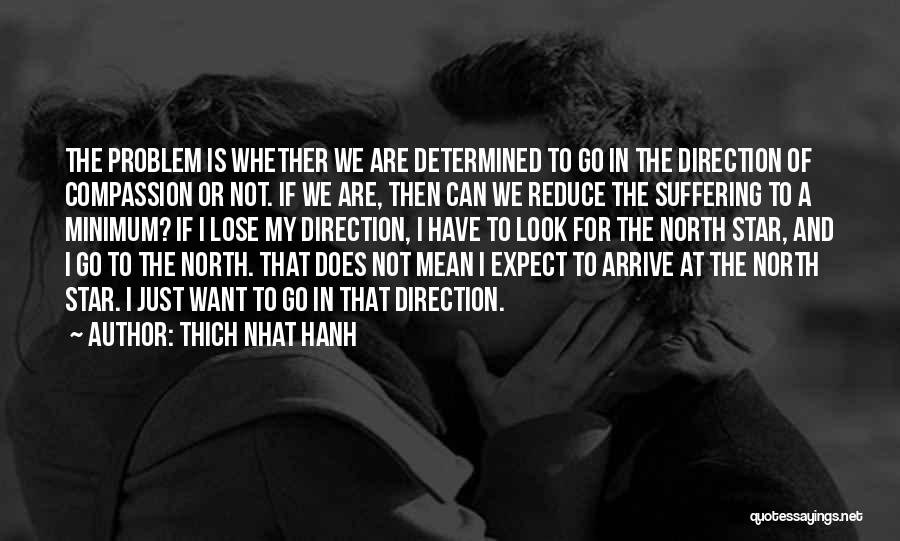 North Star Quotes By Thich Nhat Hanh