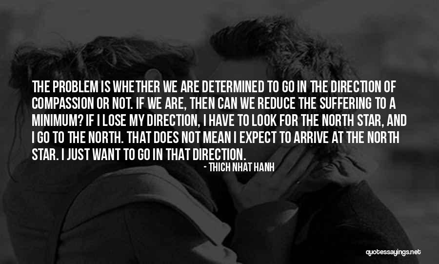 North Star Quotes By Thich Nhat Hanh North Star Quotes By Thich Nhat Hanh