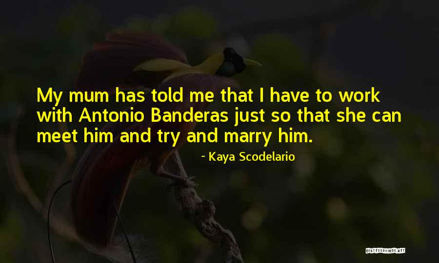 North Woods Quotes By Kaya Scodelario North Woods Quotes By Kaya Scodelario