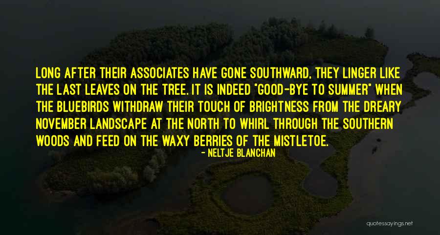 North Woods Quotes By Neltje Blanchan North Woods Quotes By Neltje Blanchan