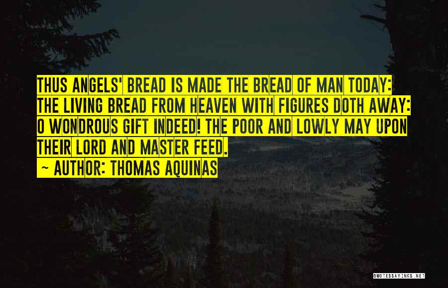 Northern Aggression Quotes By Thomas Aquinas