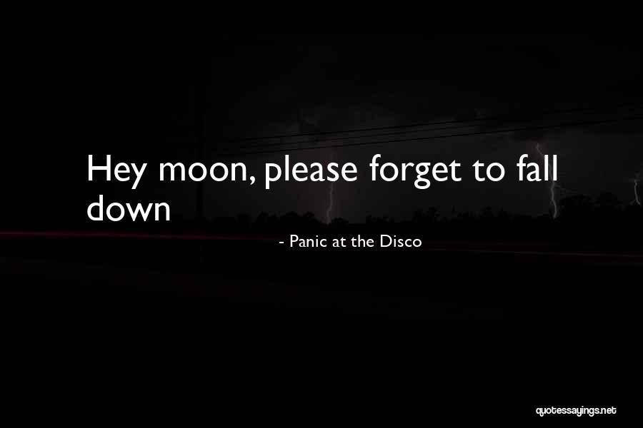 Northern Downpour Quotes By Panic At The Disco