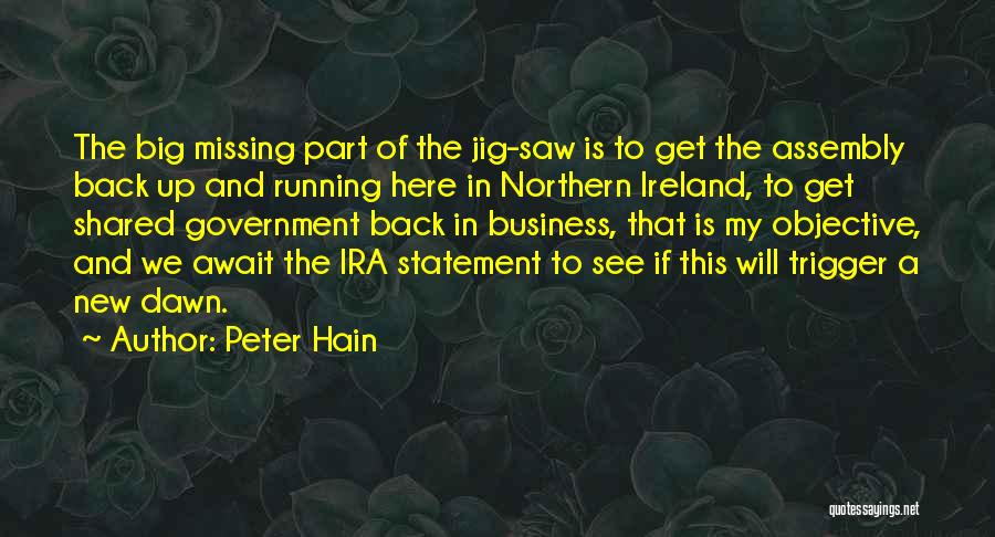 Northern Ireland Assembly Quotes By Peter Hain