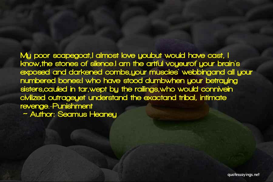 Northern Ireland Quotes By Seamus Heaney