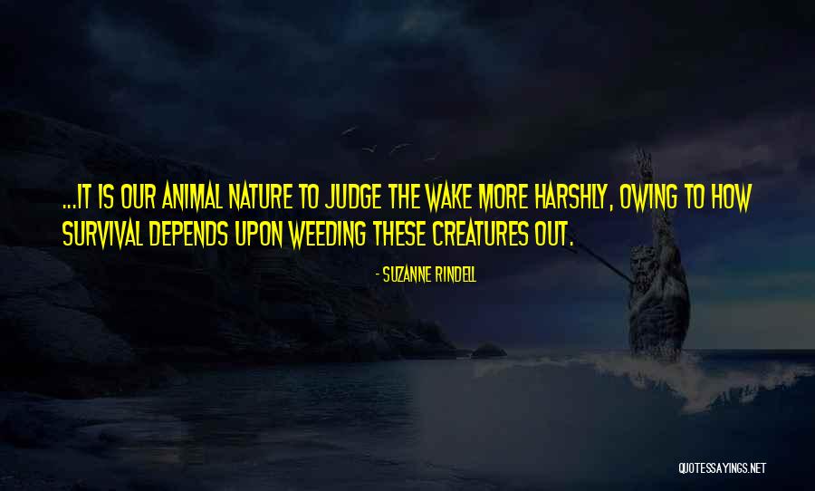 Norths Quotes By Suzanne Rindell Norths Quotes By Suzanne Rindell