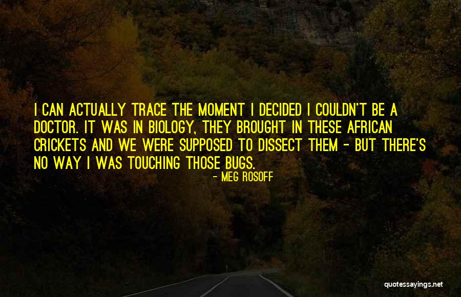 Northshield Sca Quotes By Meg Rosoff Northshield Sca Quotes By Meg Rosoff