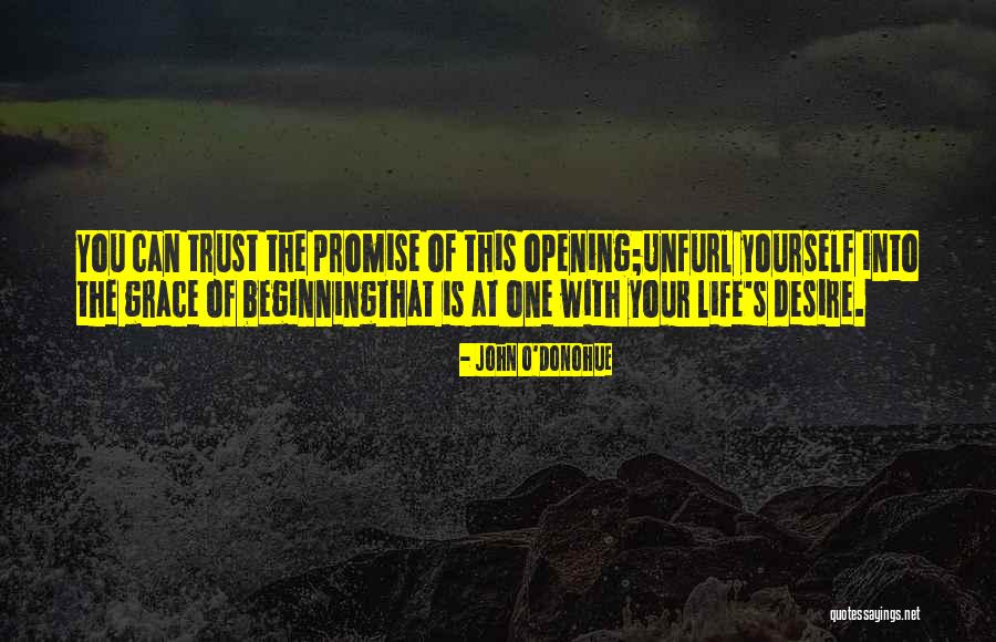 Northups Wakefield Ri Quotes By John O'Donohue Northups Wakefield Ri Quotes By John O'Donohue