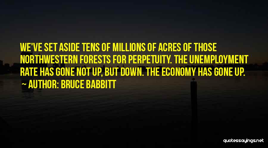 Northwestern Quotes By Bruce Babbitt