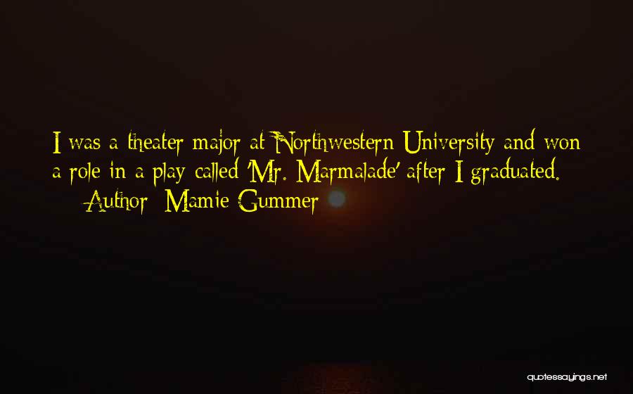 Northwestern Quotes By Mamie Gummer