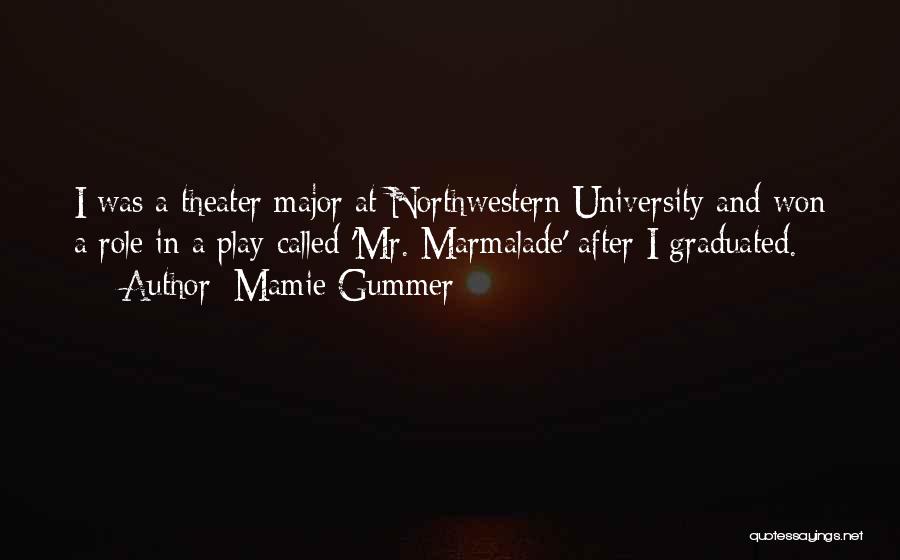 Northwestern University Quotes By Mamie Gummer