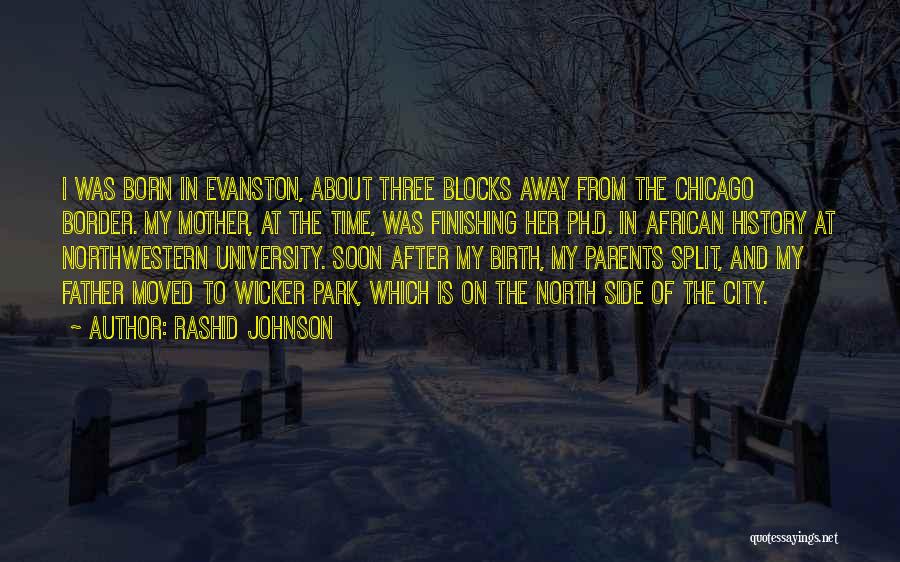 Northwestern University Quotes By Rashid Johnson