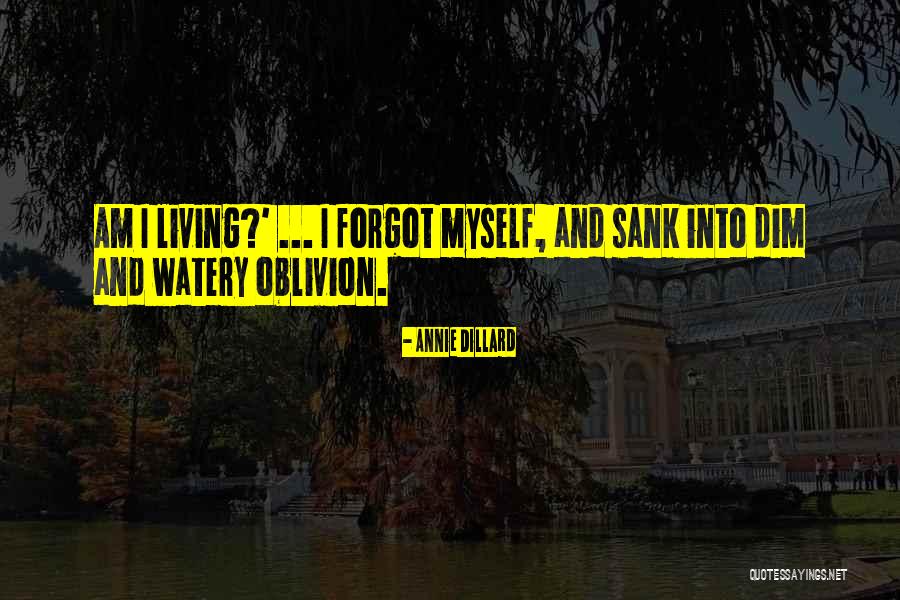 Northwesterns Football Quotes By Annie Dillard Northwesterns Football Quotes By Annie Dillard