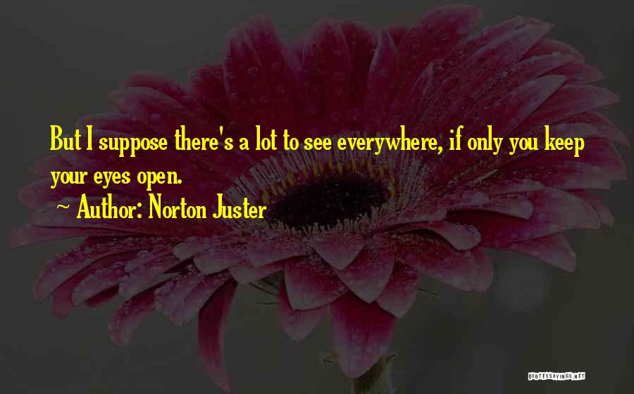 Norton Juster Quotes 1052987