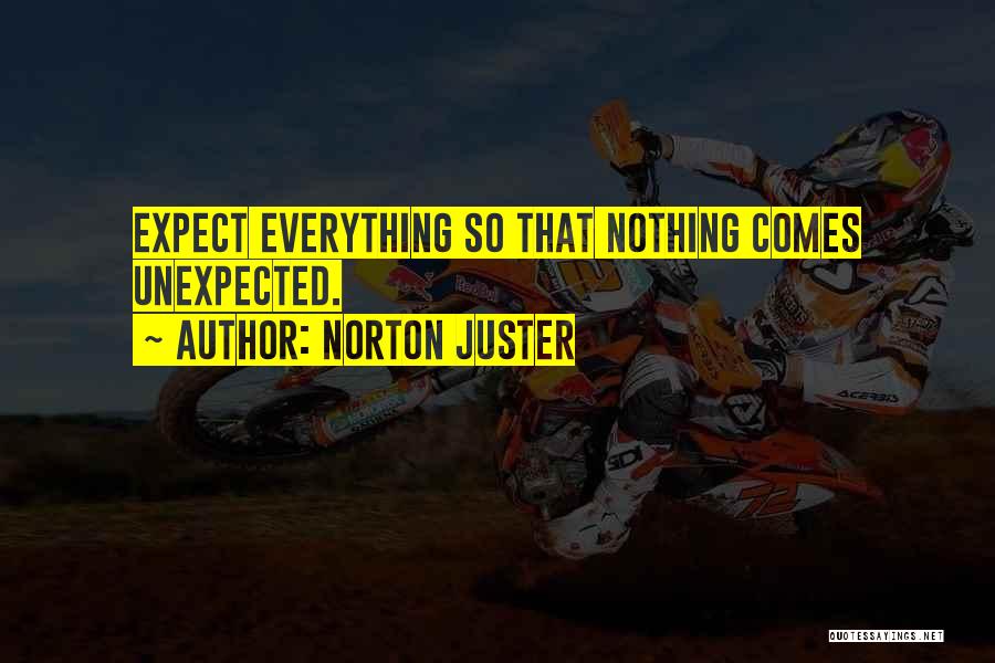 Norton Juster Quotes 1053479