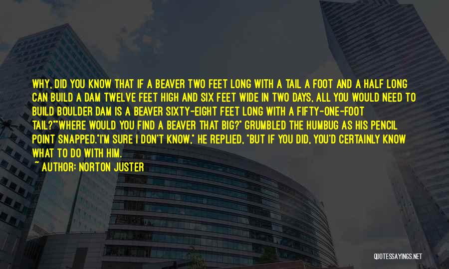 Norton Juster Quotes 1084025