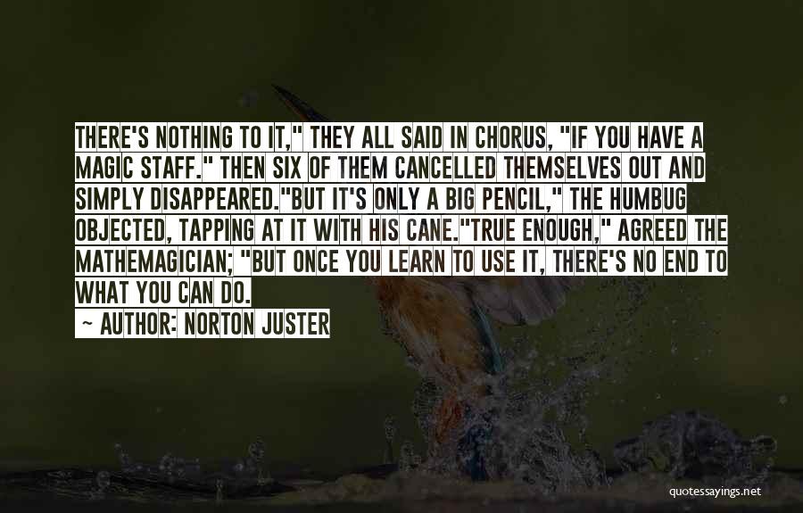 Norton Juster Quotes 1247304