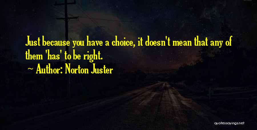 Norton Juster Quotes 1537849