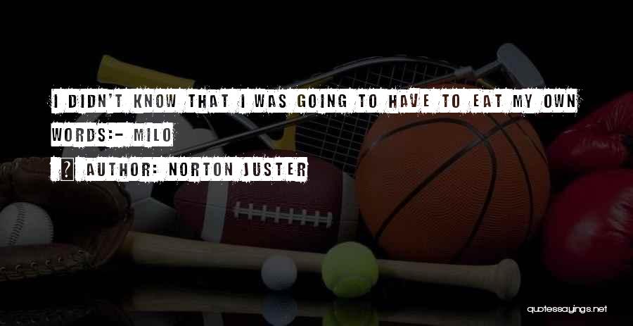 Norton Juster Quotes 1563678