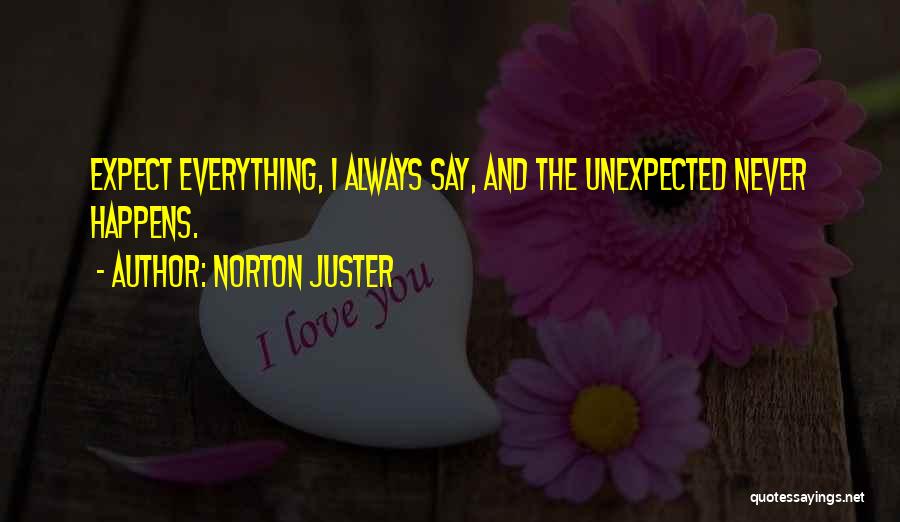 Norton Juster Quotes 1575069