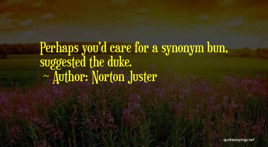 Norton Juster Quotes 1582605