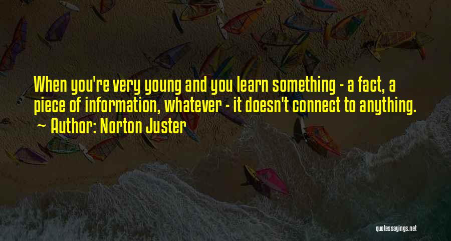 Norton Juster Quotes 1714833