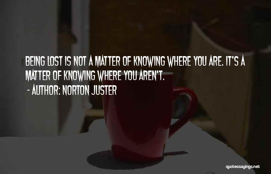 Norton Juster Quotes 1727520