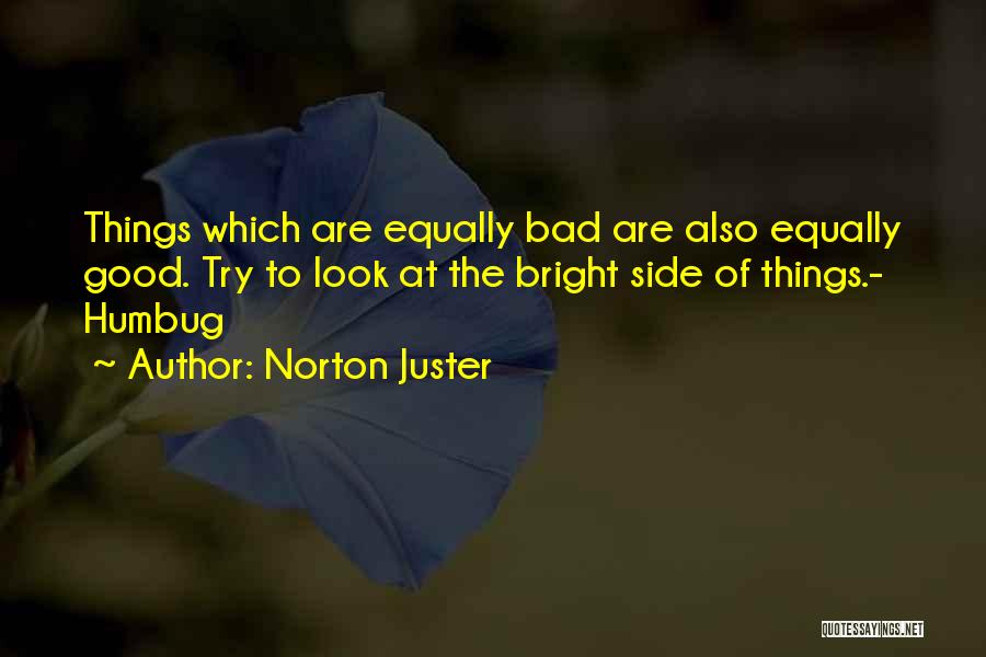 Norton Juster Quotes 1755119