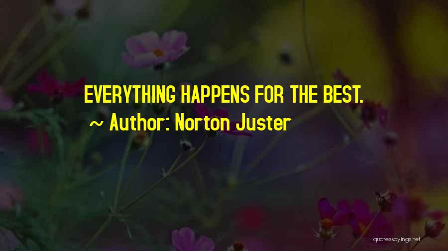 Norton Juster Quotes 1762391