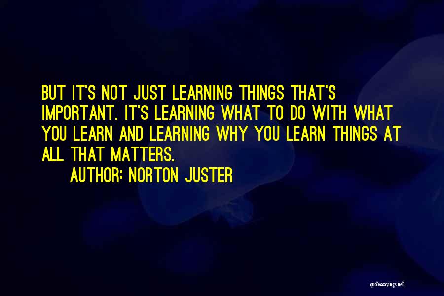 Norton Juster Quotes 1787631