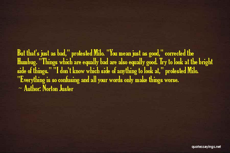 Norton Juster Quotes 1812045