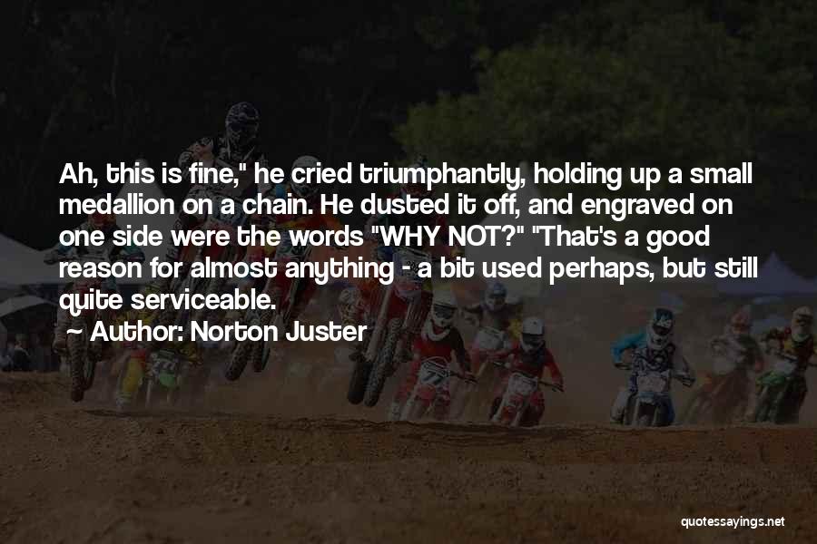 Norton Juster Quotes 1971126