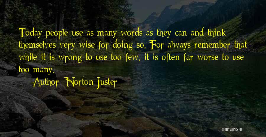 Norton Juster Quotes 2007905