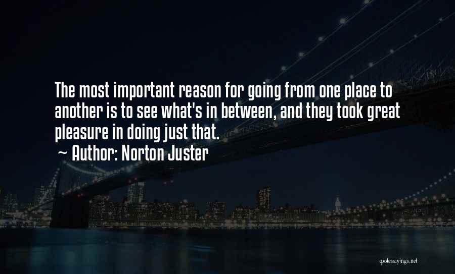 Norton Juster Quotes 2096806