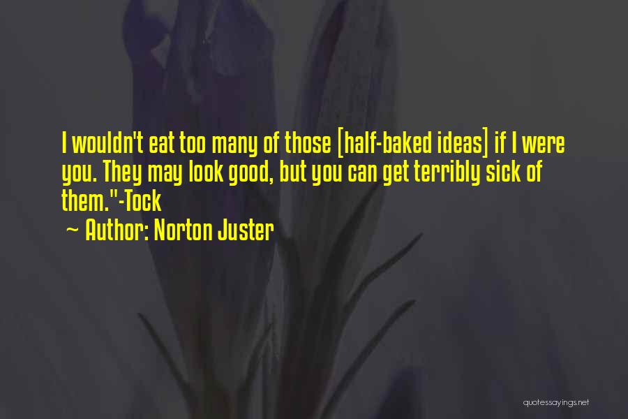 Norton Juster Quotes 2128981