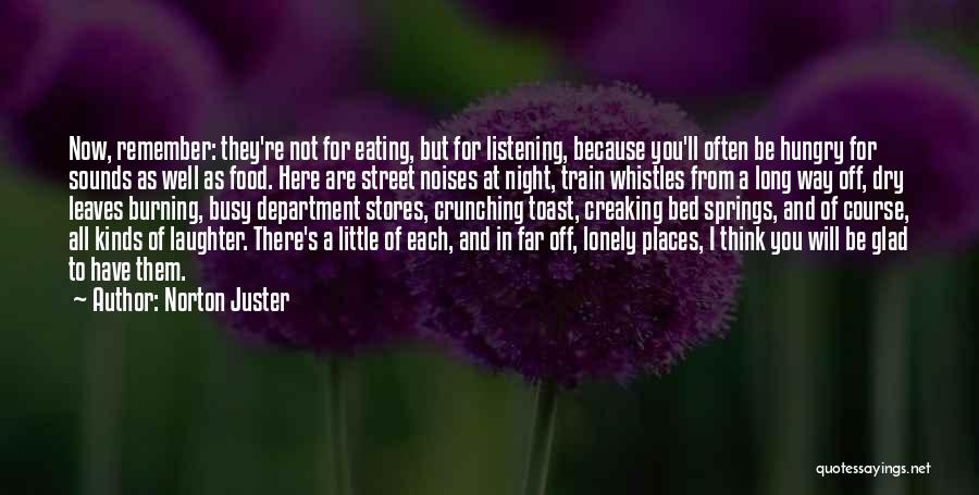 Norton Juster Quotes 2164646