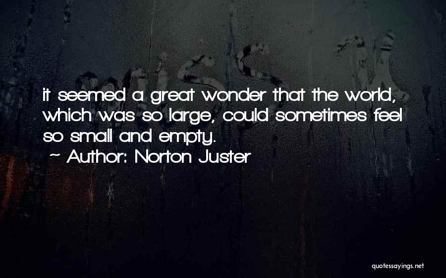 Norton Juster Quotes 2196868