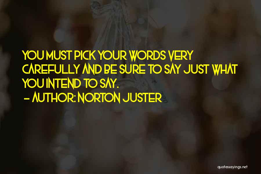 Norton Juster Quotes 342963