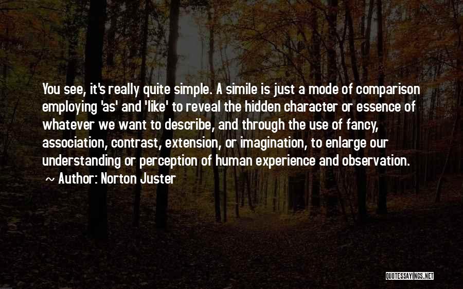 Norton Juster Quotes 423698