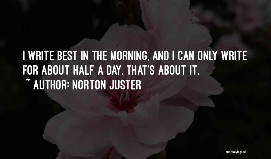 Norton Juster Quotes 527834