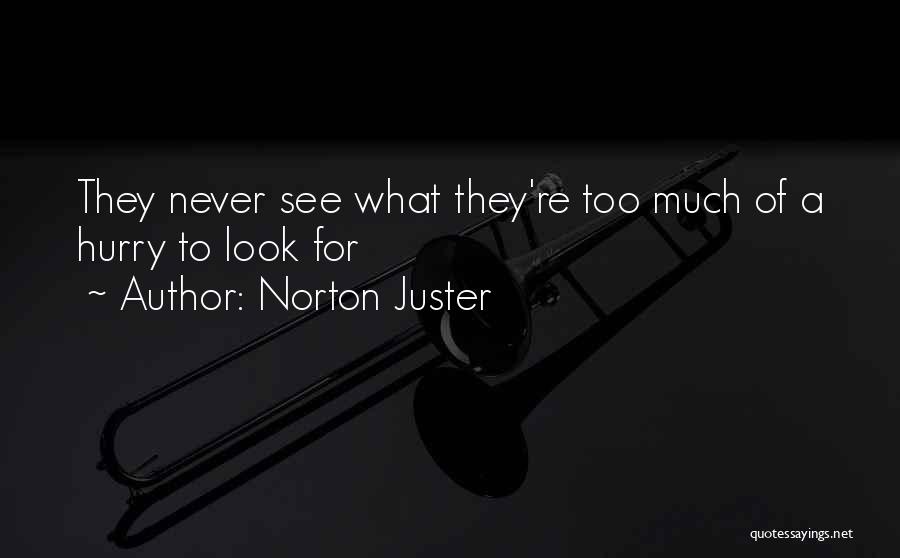 Norton Juster Quotes 771722